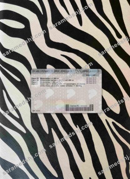 Singapore driving license photolook BACK